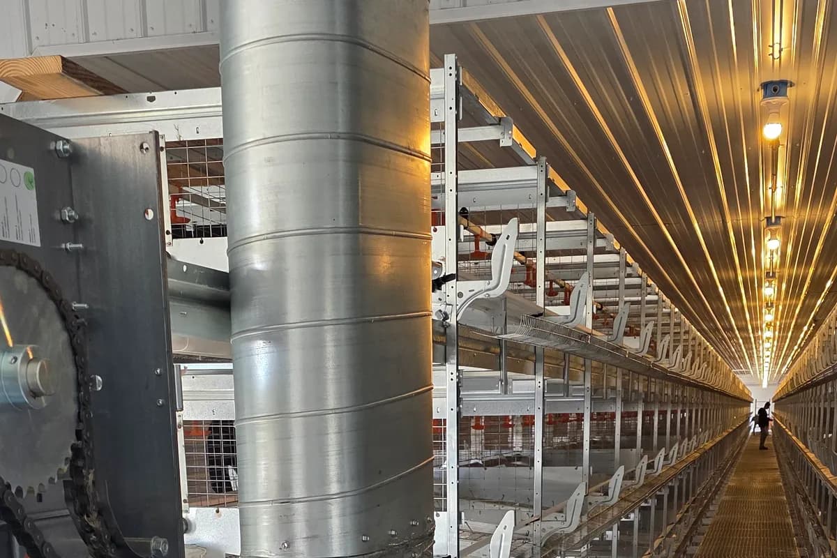 Interior aisle of a poultry house with overhead lighting and large ventilation duct runs