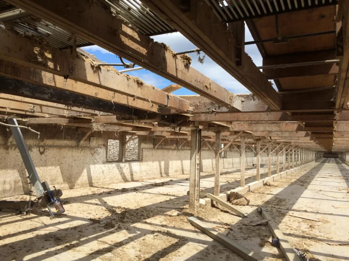 Interior of an old agricultural building with a failing roof and worn support posts